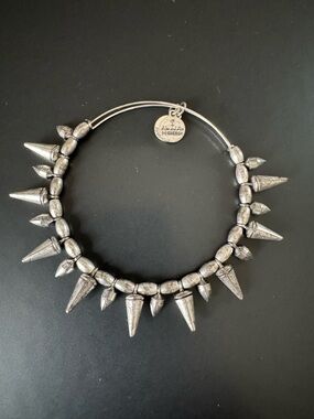 Alex and Ani Spike of Courage Silver-Toned Beaded Adjustable Bracelet